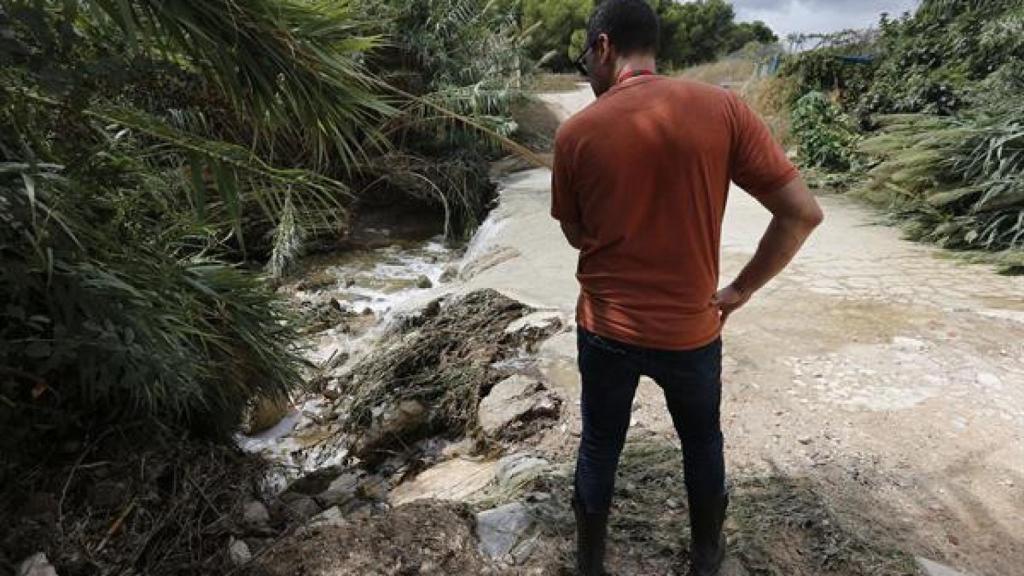 Un hombre observa este domingo el lugar donde fue encontrado el cuerpo del agente horas antes.