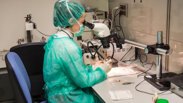 El Hospital Nacional de Parapléjicos y la Universidad ‘Anáhuac México Campus Norte’ colaborarán en la investigación de la lesión medular