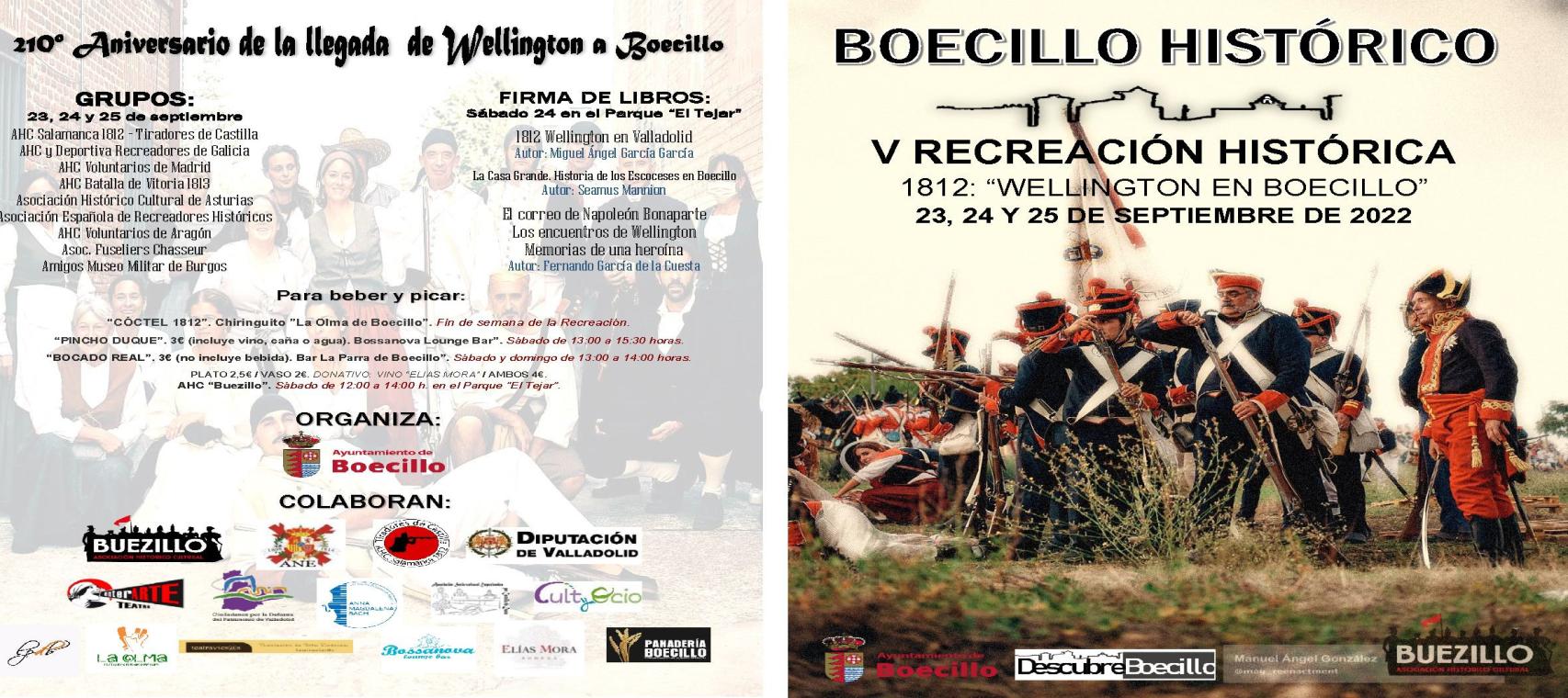 Boecillo Wellington 2