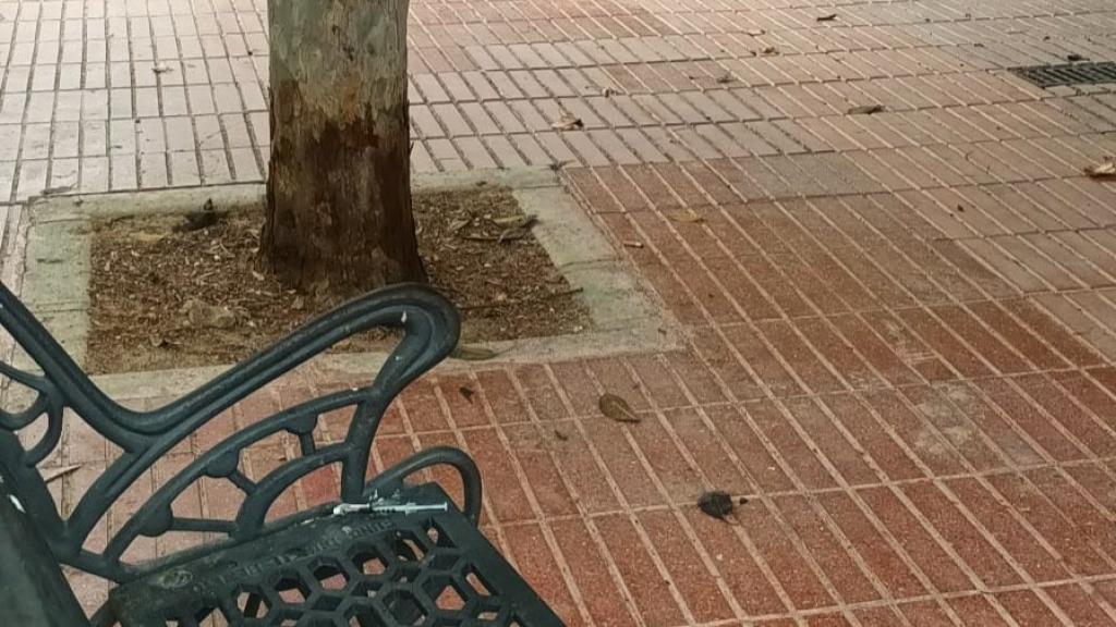 Las jeringuillas aparecieron en un parque de la Colonia Santa Isabel la segunda semana de septiembre.