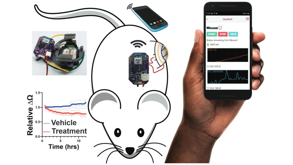 Diagrama sobre el funcionamiento de FAST y su app