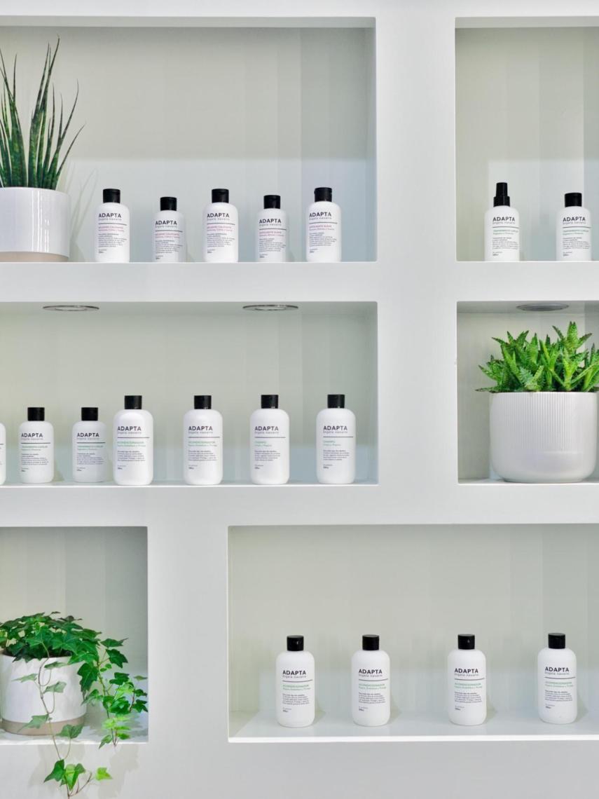 Salón Angela Navarro.