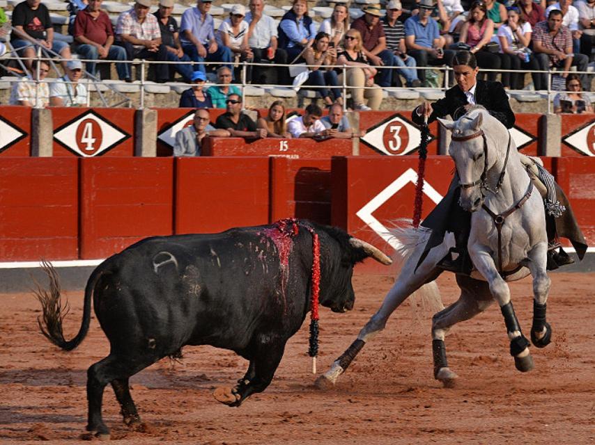 La rejoneadora francesa Lea Vicens corta una oreja en Salamanca