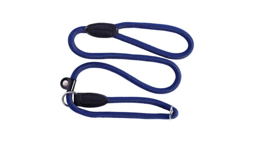 Correa de adiestramiento para perros de lionto