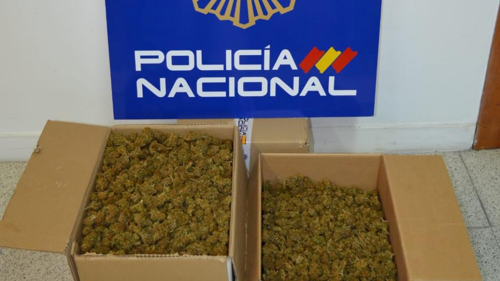 Droga encontrada en el vehículo de un hombre mientras la transportaba en Zamora