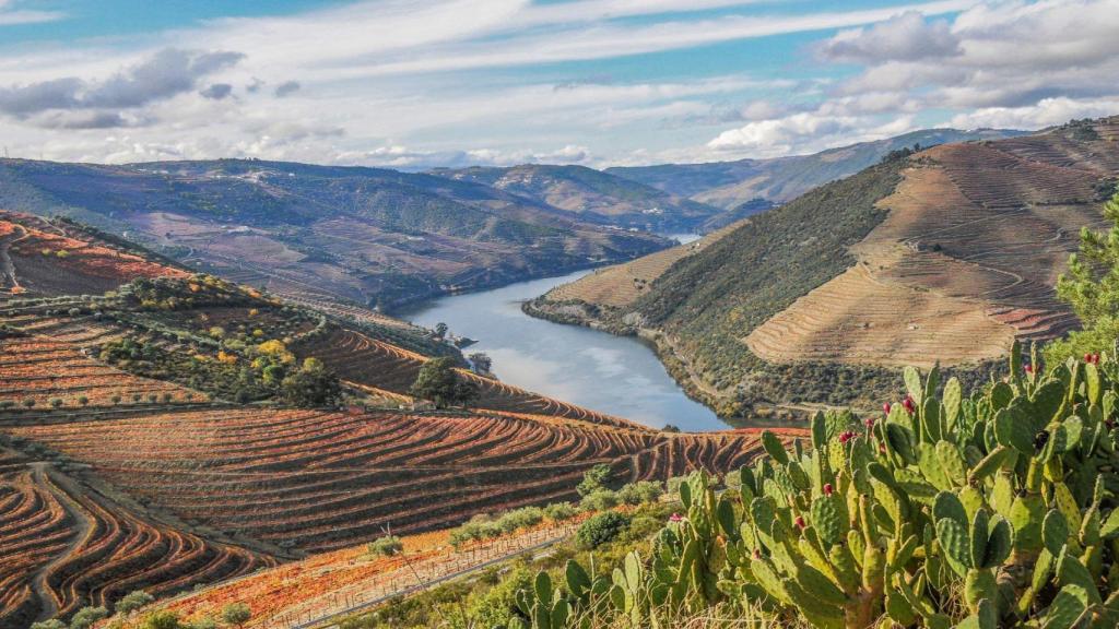 Valença do Douro  Foto JoseOlgon vía Wikipedia