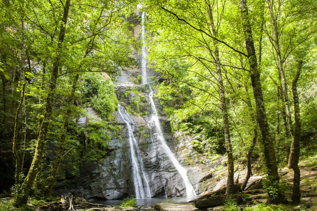 Seimeira de Vilagocende  Foto Concello da Fonsagrada