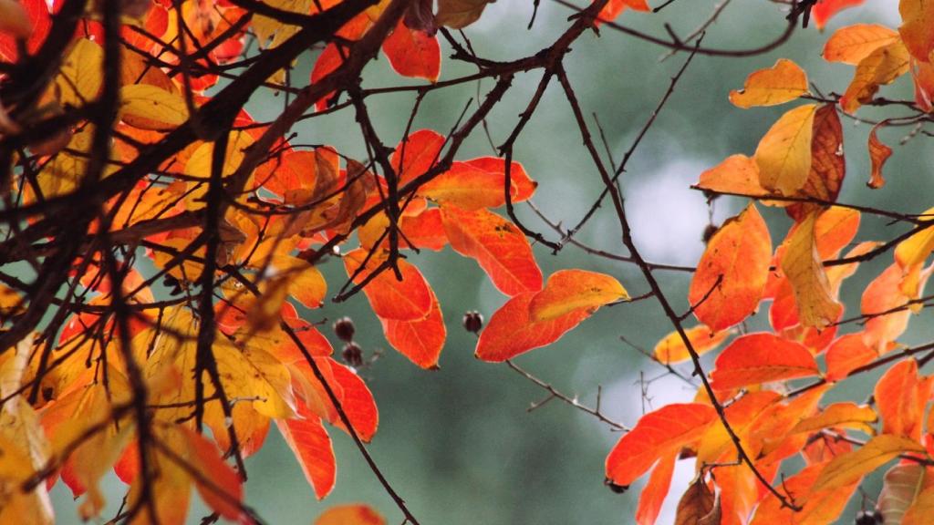 Cómo afecta el equinoccio de otoño a los signos del zodiaco