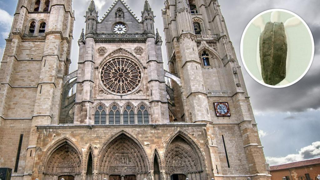 La Catedral de León