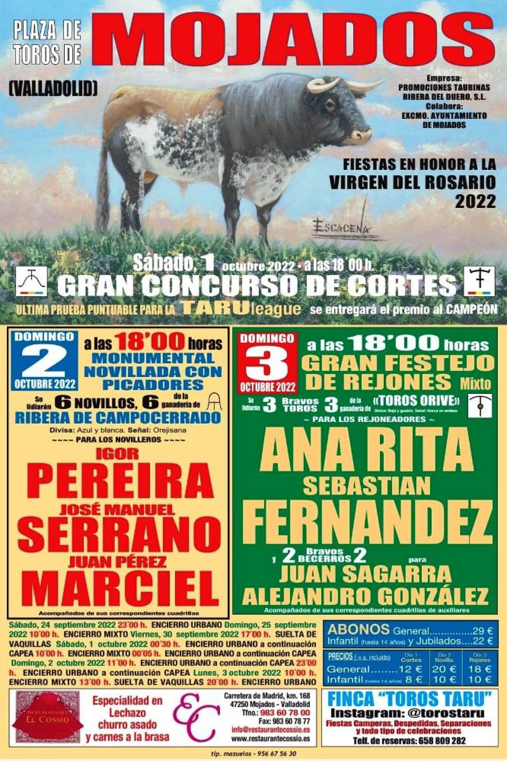 Cartel de los Toros de Mojados