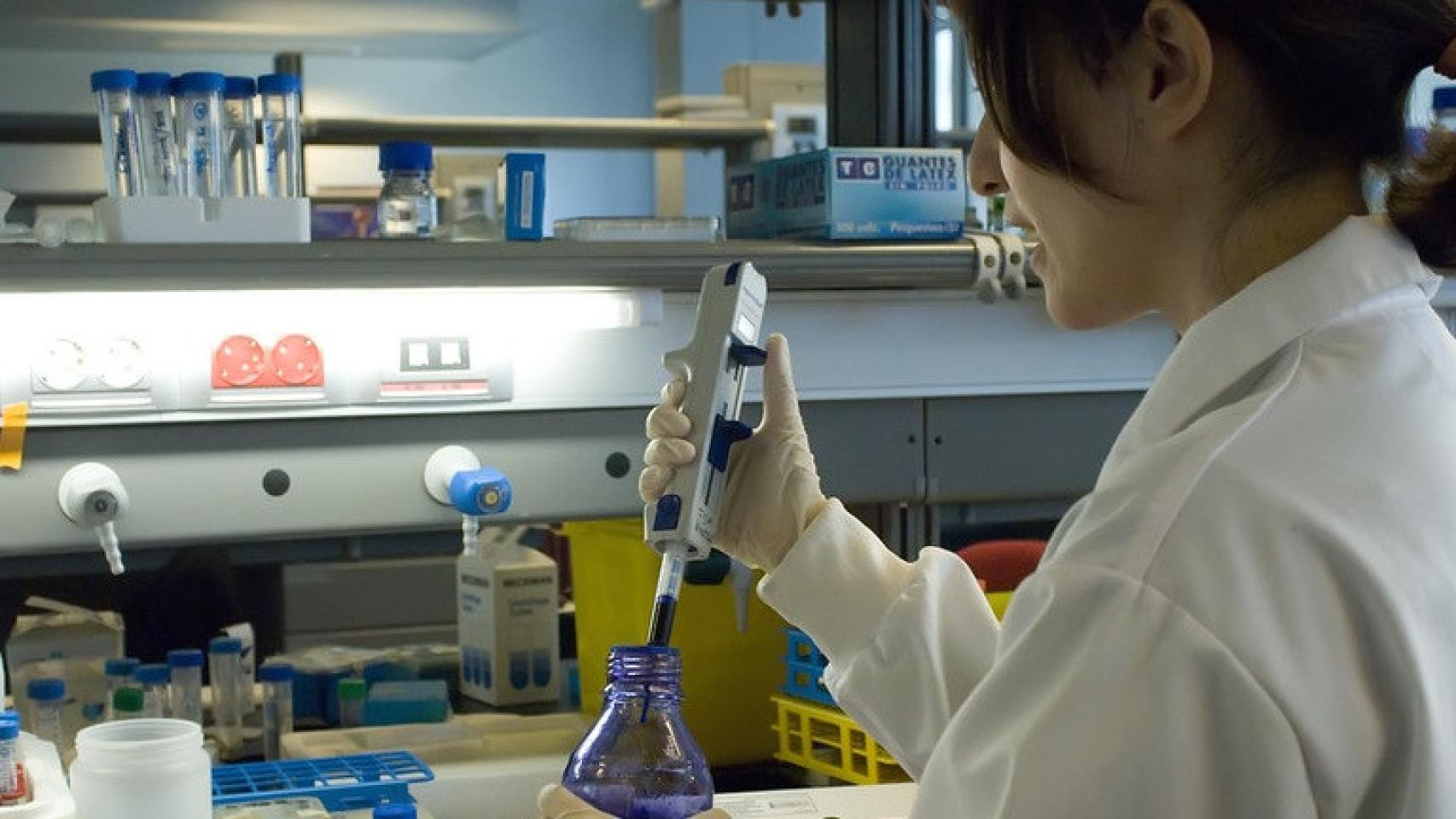 Laboratorio del Centro Nacional de Investigaciones Cardiovasculares. Foto: CNIC