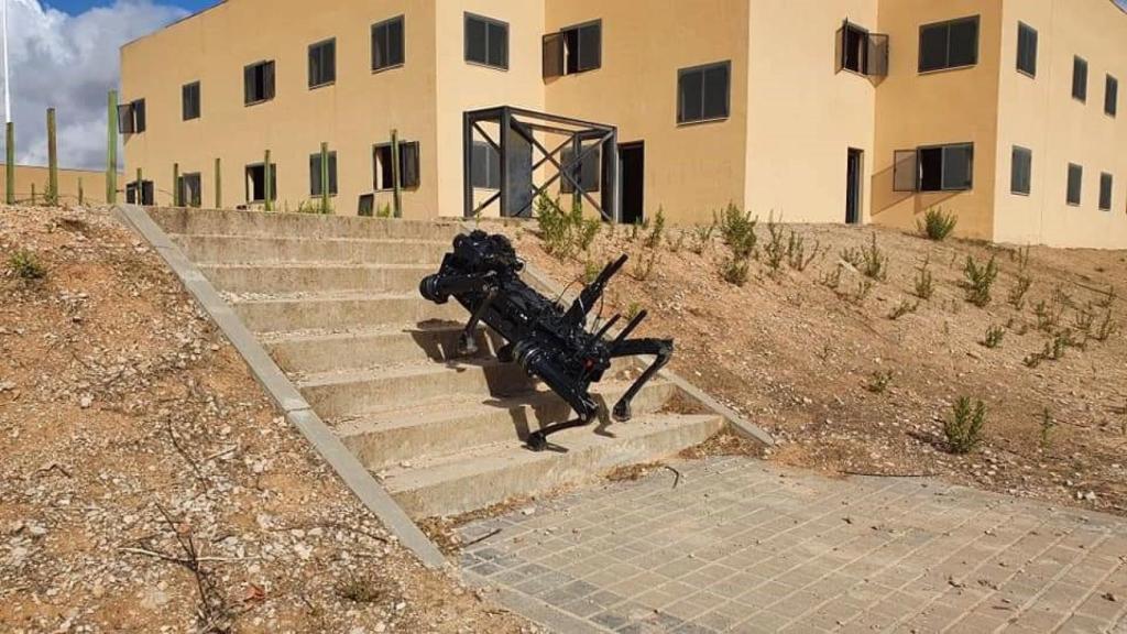 Perro robot Vision 60