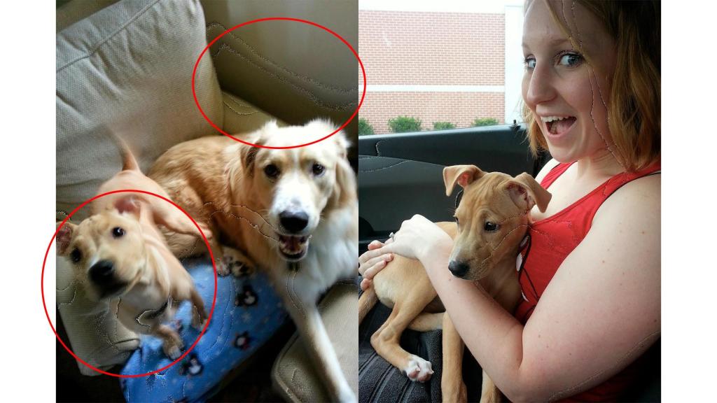 Fotos con artefactos de los usuarios.