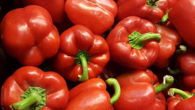 ¿Sabías que existen pimientos macho y hembra y qué cada uno tiene un sabor diferente?