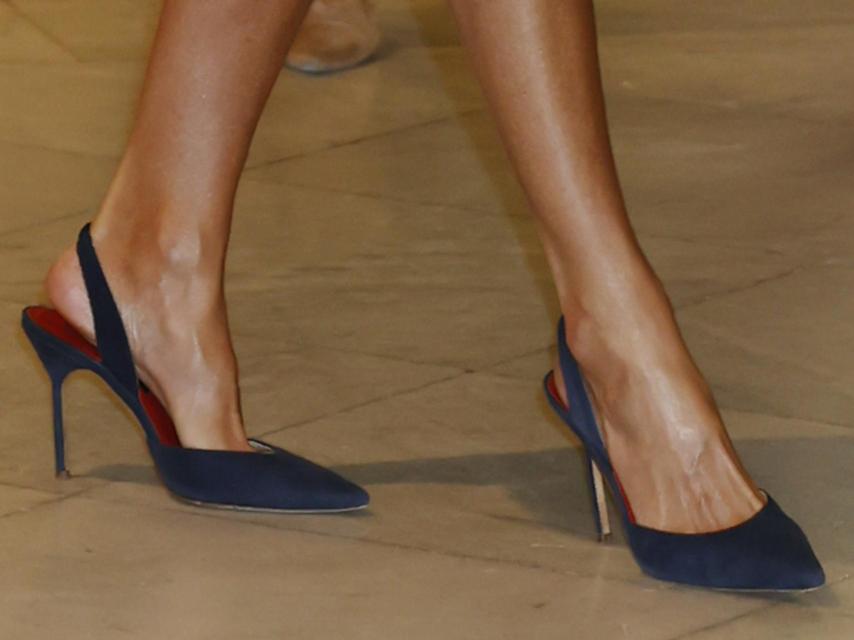 Se trata de unos salones destalonados de la línea CH de Carolina Herrera.