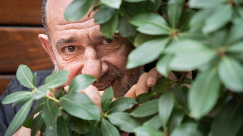 Karra Elejalde mira a cámara tras las ramas de un pequeño árbol