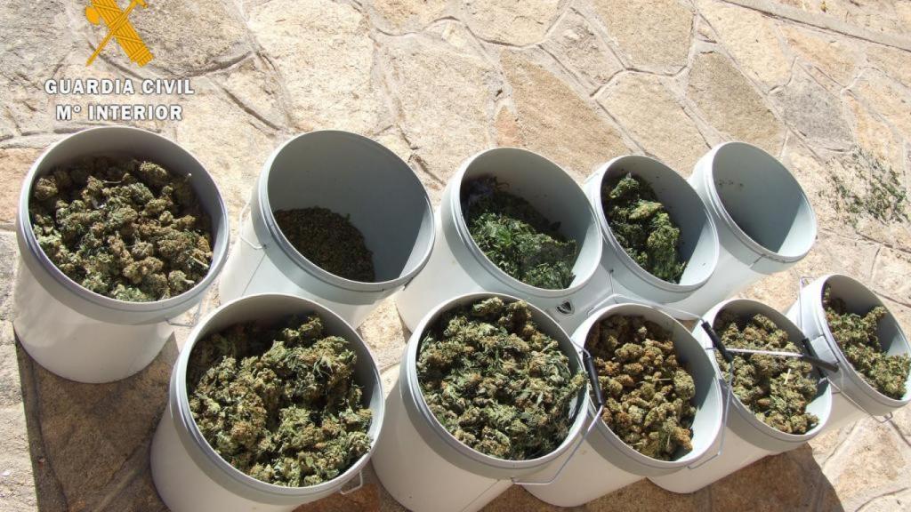 Detenido en Navahondilla el propietario de otro laboratorio de marihuana indoor