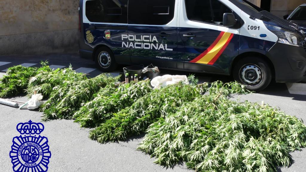 Droga incautada al detenido