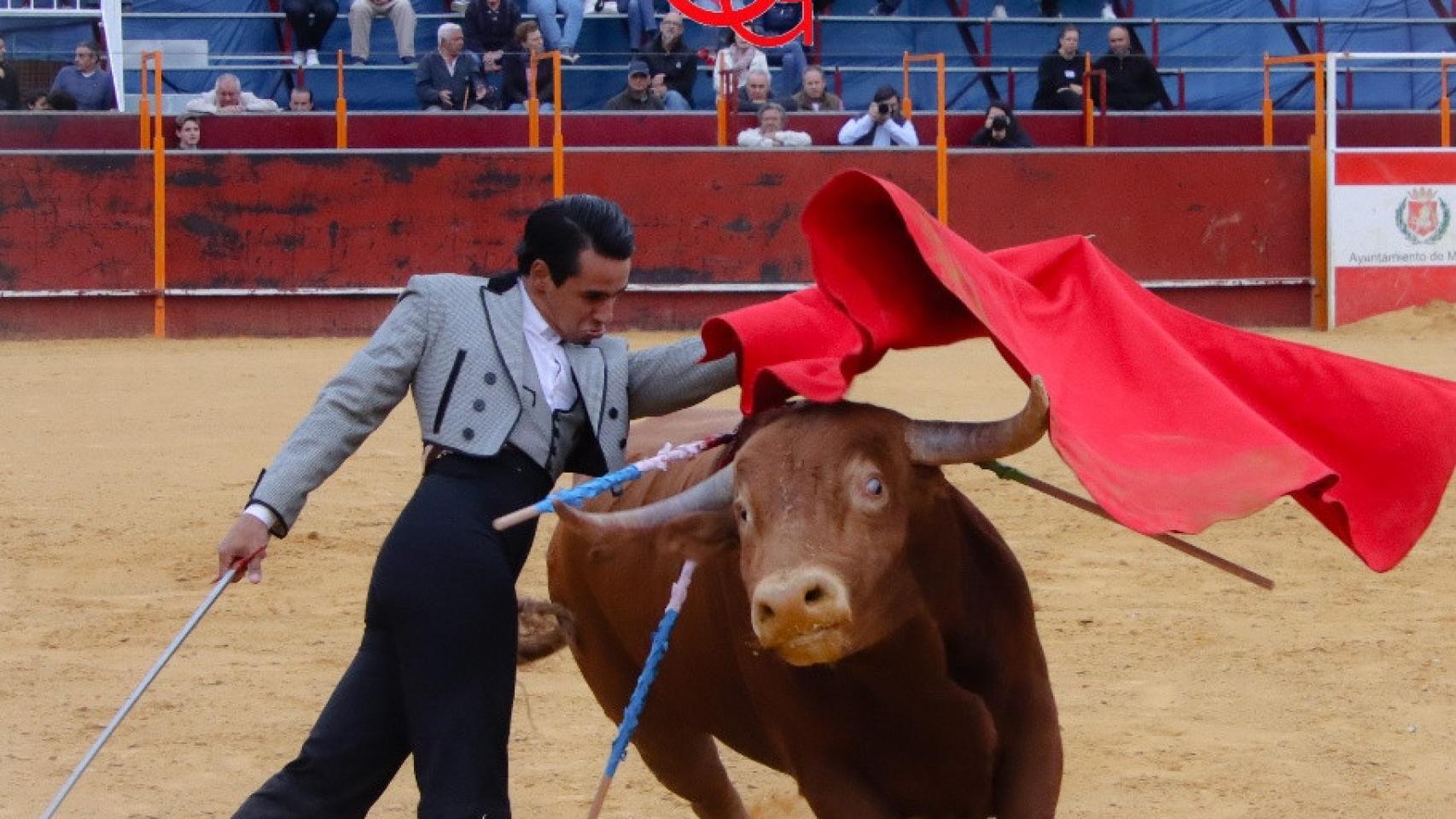 El novillero venezolano José Antonio Valencia pasea las orejas de su novillo