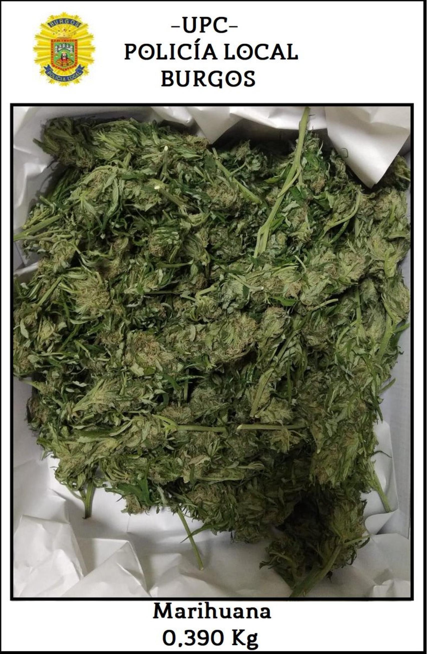Imagen de la marihuana incautada