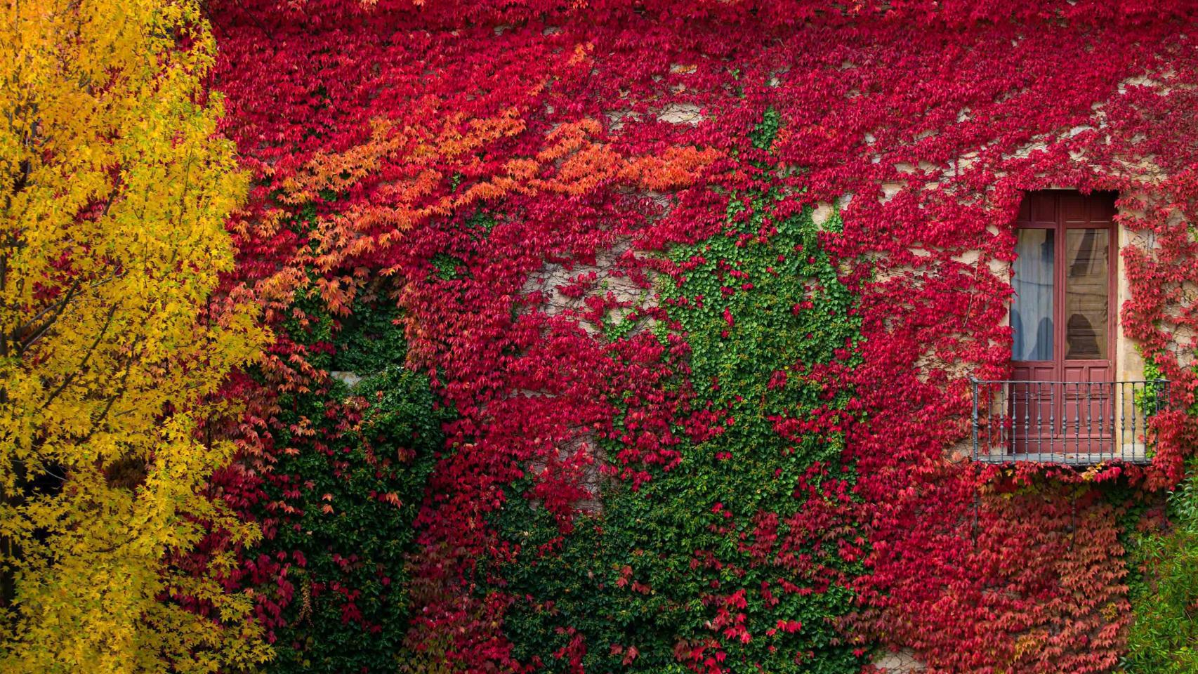Premios del Concurso de Fotografía SAVIA Vía de la Plata de Salamanca
