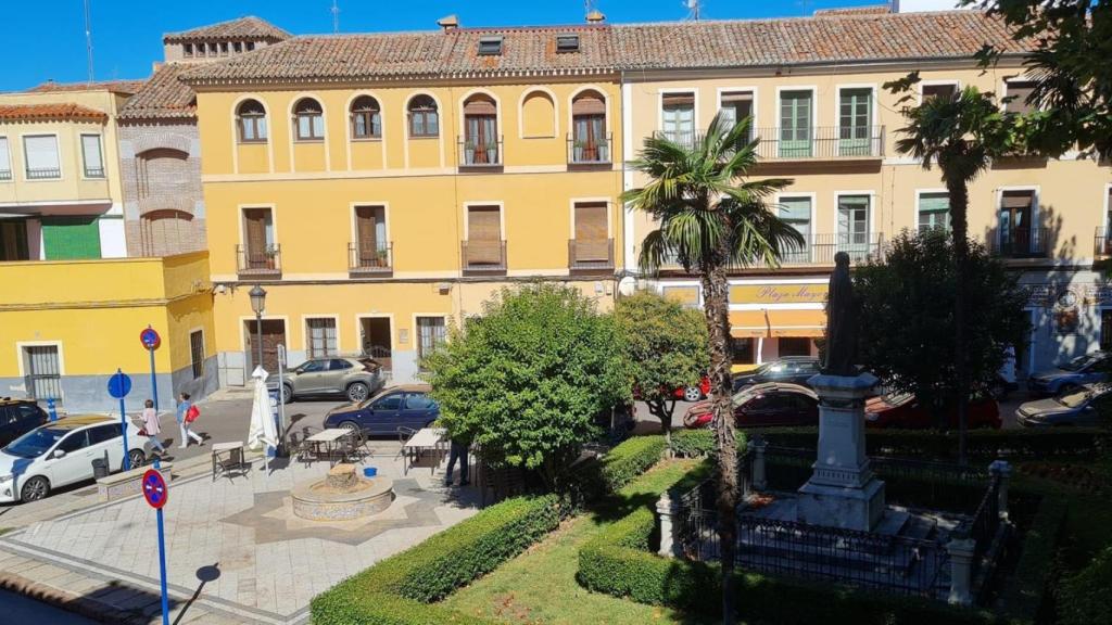 La palmera de la plaza Padre Juan de Mariana.