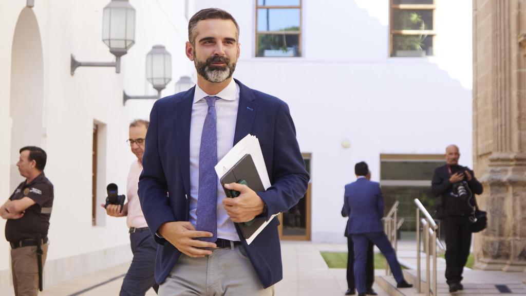 El portavoz del Gobierno andaluz, Ramón Fernández-Pacheco.