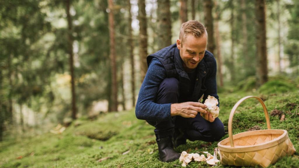 Dónde ir a buscar setas en Madrid.