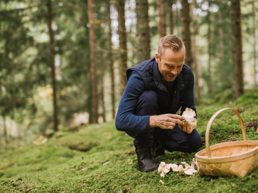 Imagen de una persona recolectando setas.