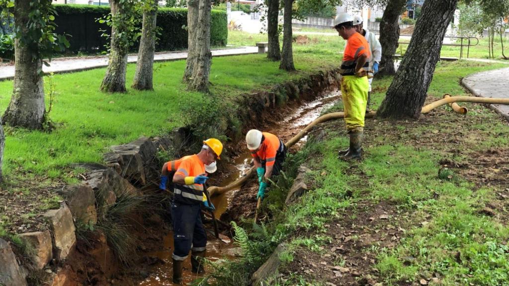 Limpieza del regato Portapego