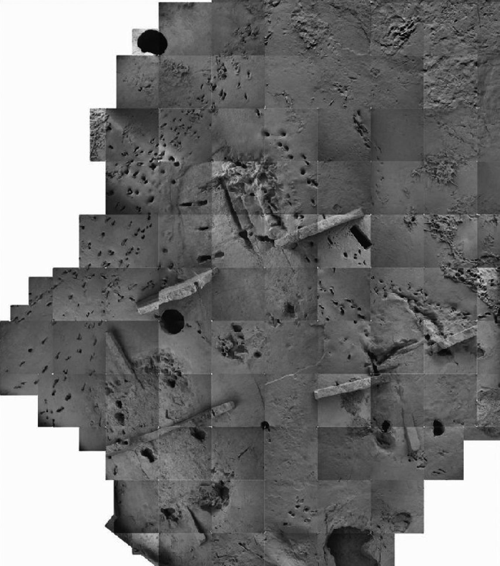 Imagen de las huellas documentadas en el yacimiento.