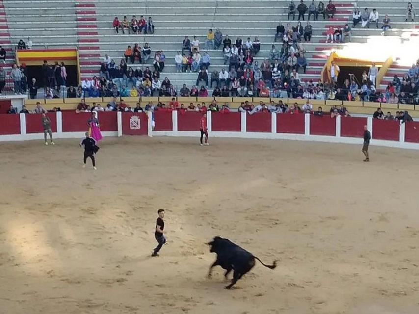 Imagen de la capea en Íscar