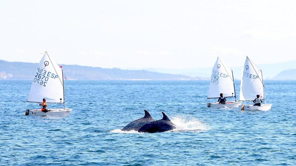 Regata 50 Aniversario del Náutico de Riveira.