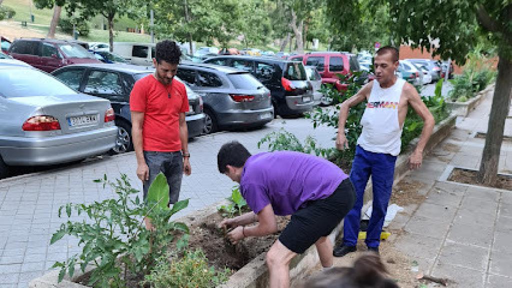 Varios voluntarios acondicionan los arriates