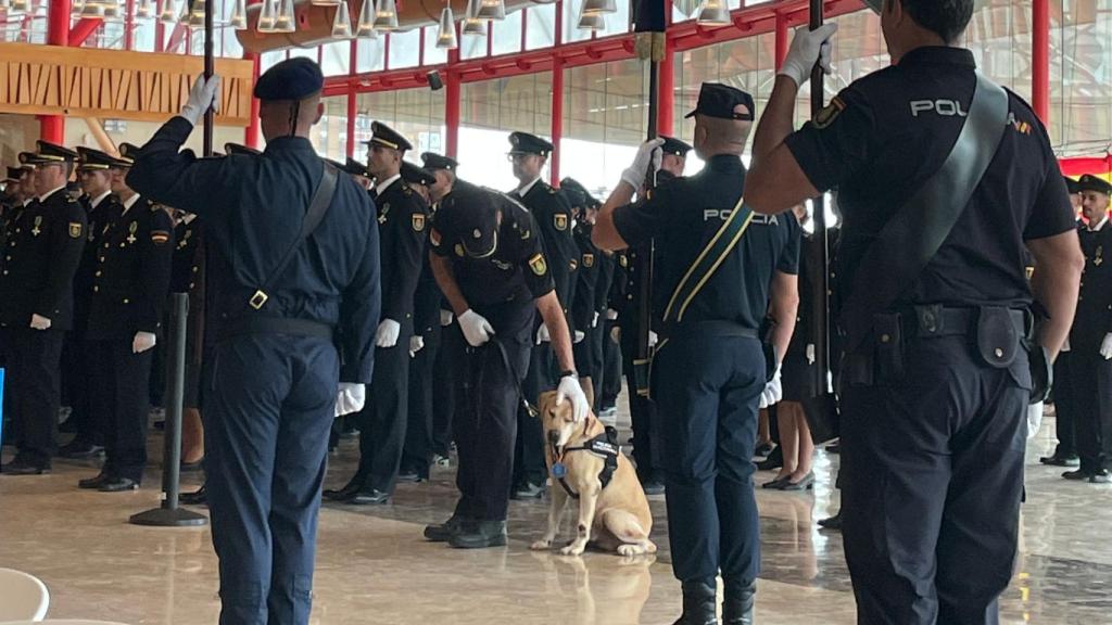 Garrido, acariciando a su compañero de cuatro patas.