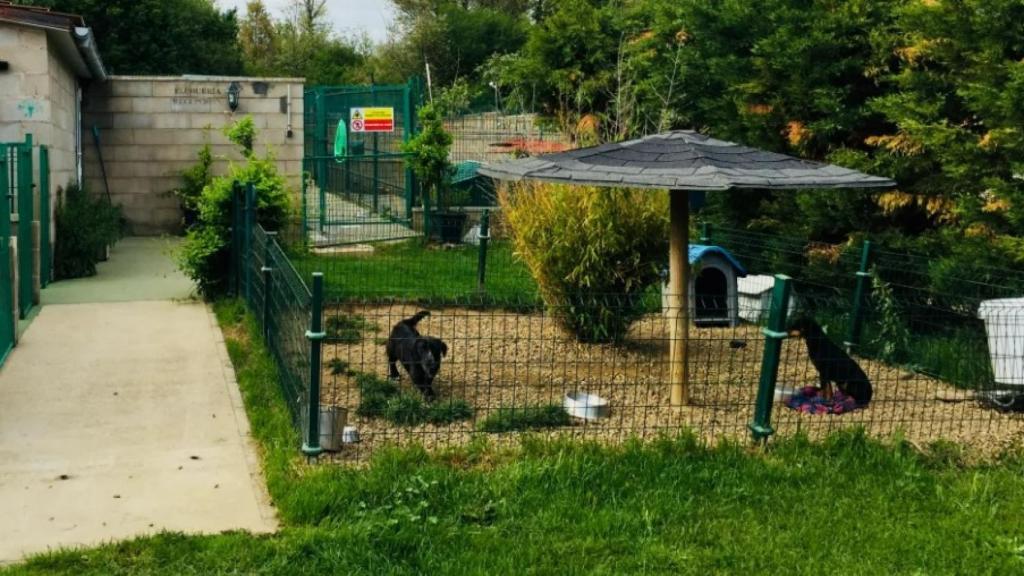 Imagen de un hotel canino en Ferral de Bernesga