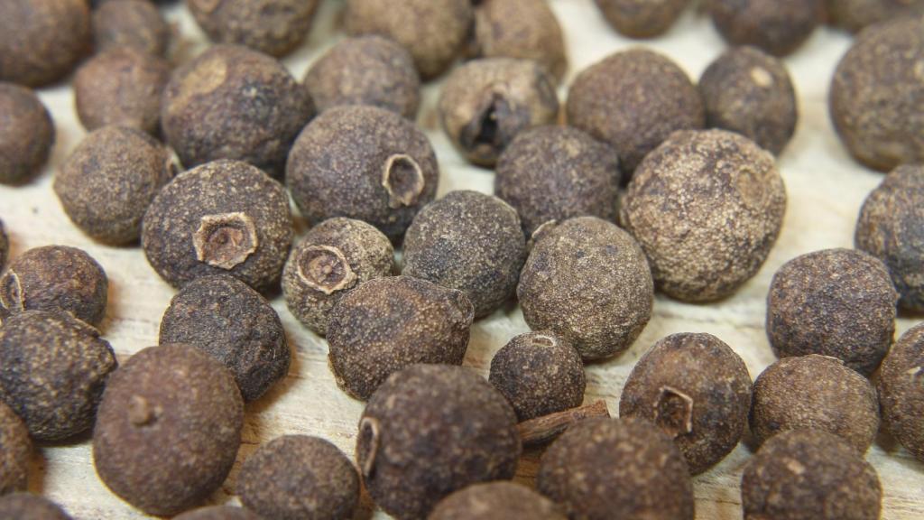 Los frutos son redondos de 4 a 10 mm de color verde amarillento a negro.