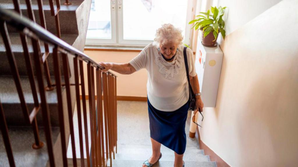 Speech Accessibility Project