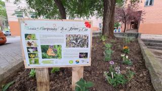 Un oasis de mariposas en medio de la ciudad: así se puede salvar a los insectos desde el jardín del barrio