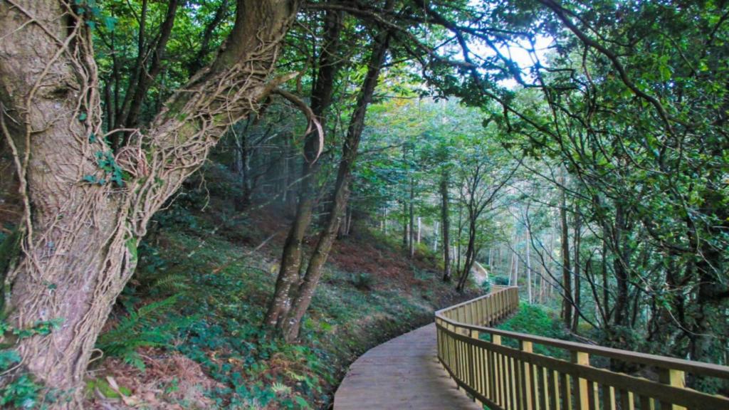 Ruta da Auga  (Foto amarinalucense.gal)