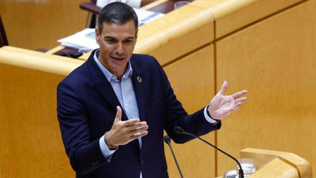 El presidente del Gobierno, Pedro Sánchez, en un debate en el Senado.