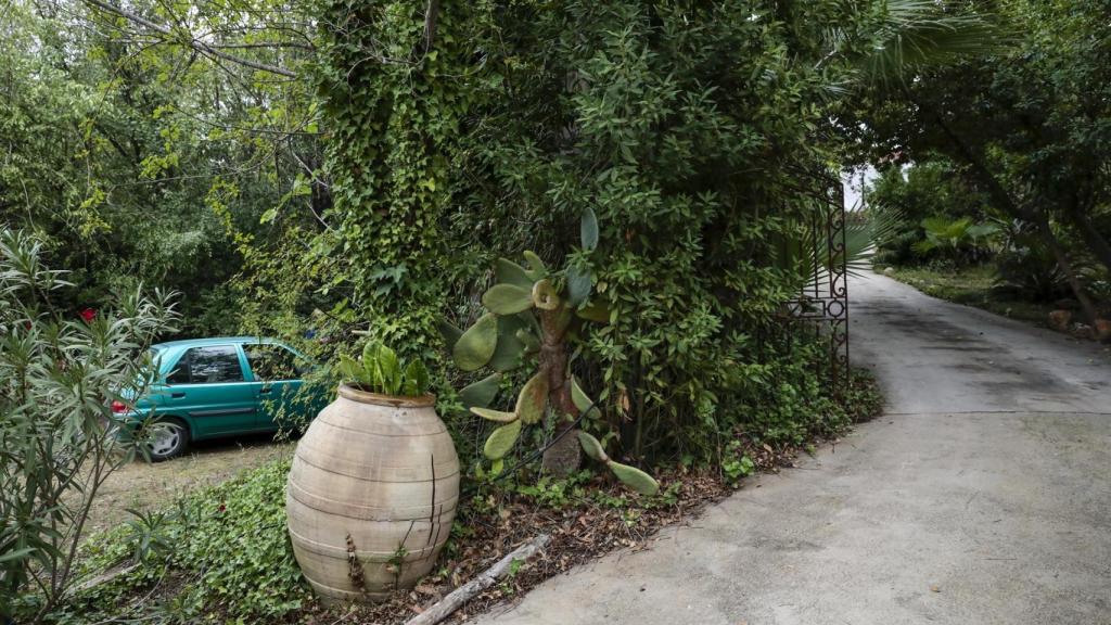 Camino que lleva a la residencia de Montesinos en Llíria.