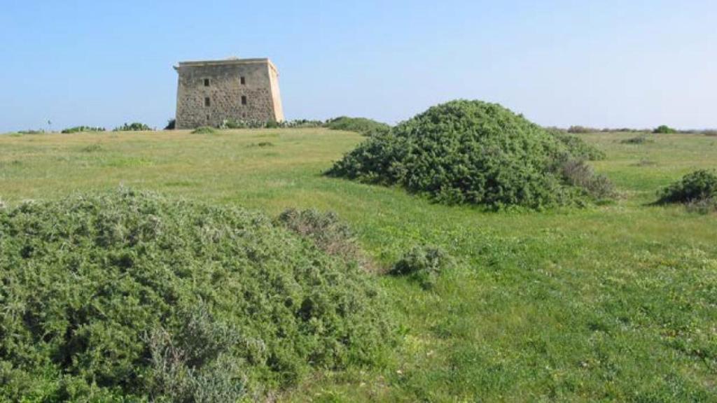 El campo de la isla de Tabarca.