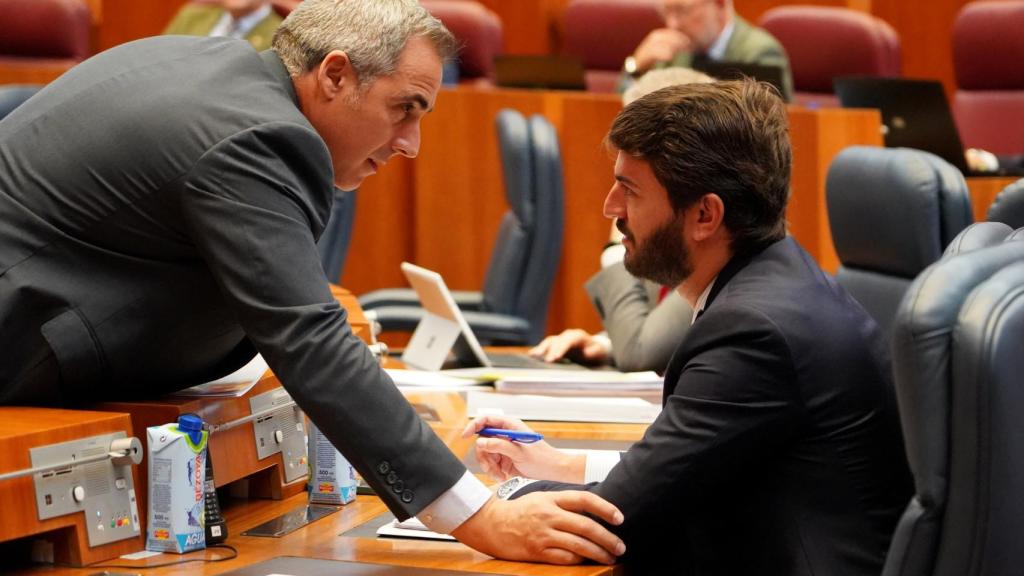 El  vicepresidente de la Junta, Juan García-Gallardo, conversa con el procurador de Vox José Antonio Palomo durante la segunda jornada del pleno de las Cortes de Castilla y León