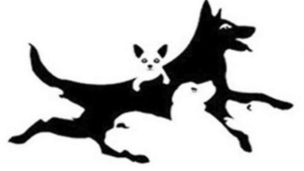¿Cuántos perros ves en la imagen? Tu respuesta identifica tu edad mental.