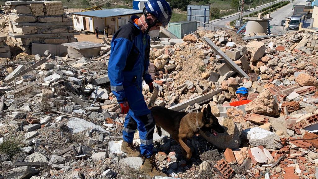 Perros de rescate de Euskadi en La Nucía.