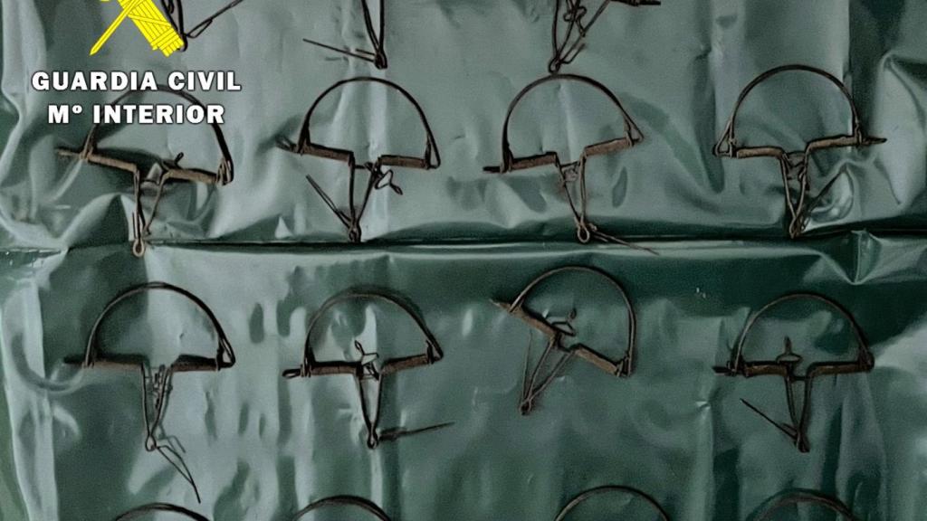 La Guardia Civil interviene 15 trampas 'ballesta' en una inspección en Burgos