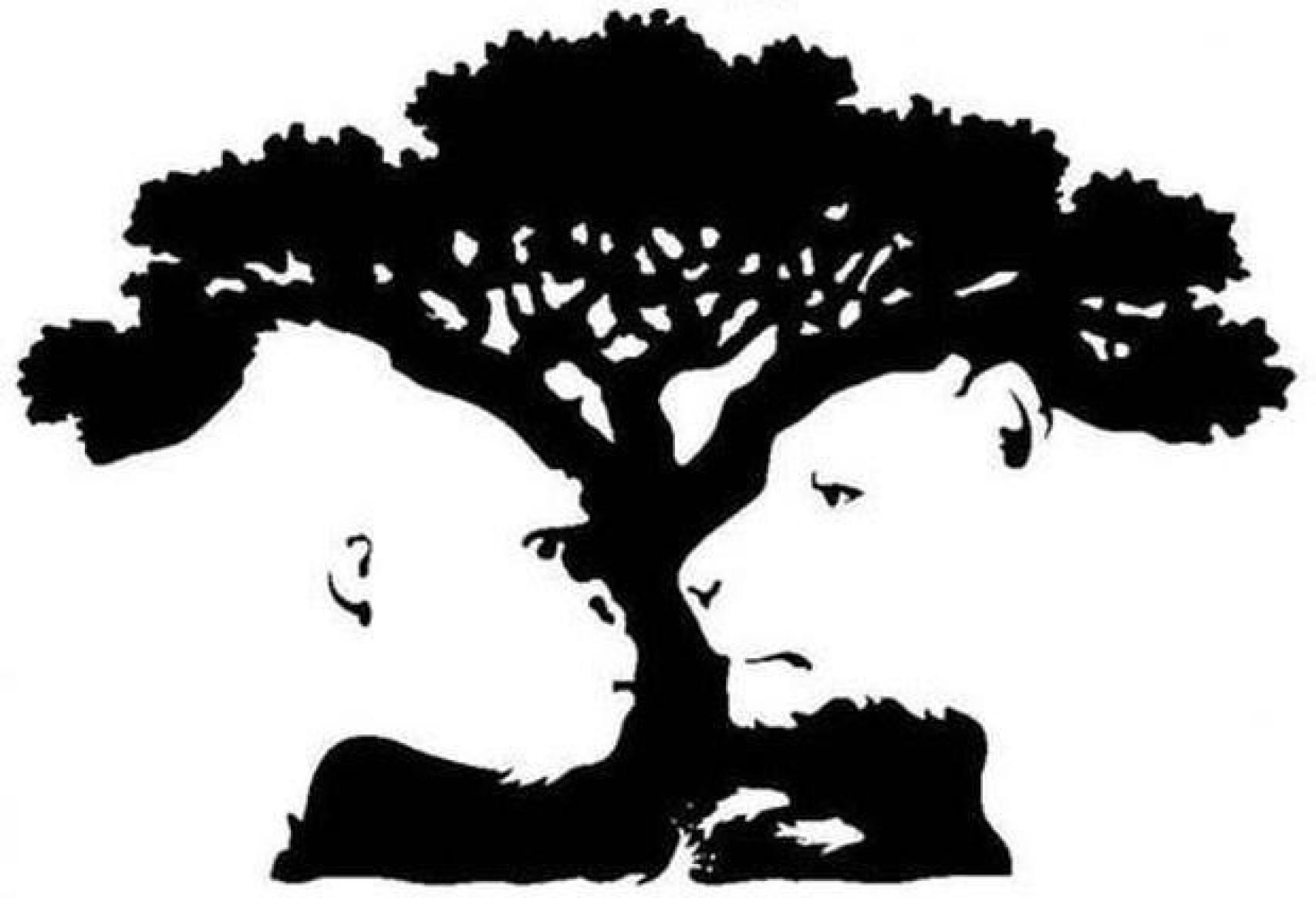 Imagen del test viral.