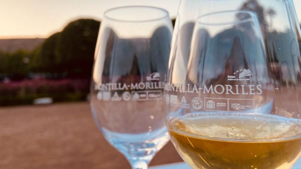 Hay un Montilla-Moriles para cada persona