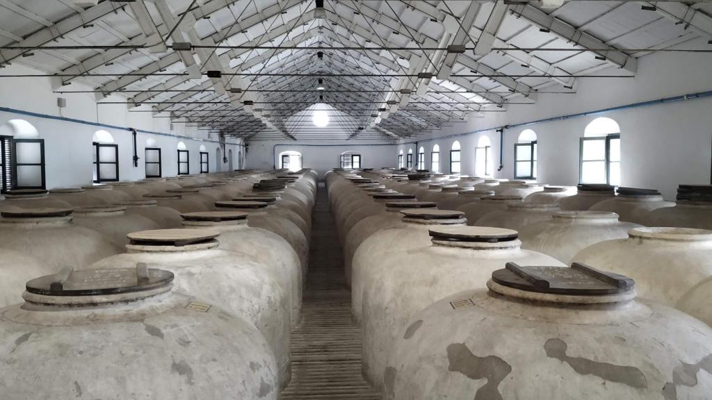 En las antiguas tinajas de fermentado se elaboran ahora vinos tranquilos